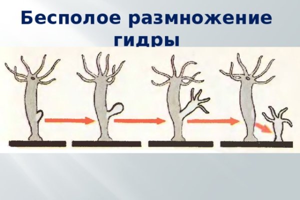 Кракен ссылка на сайт com